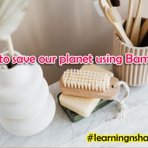 How-to-save-our-planet-using-Bamboo